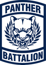 CISD Panther Battalion
